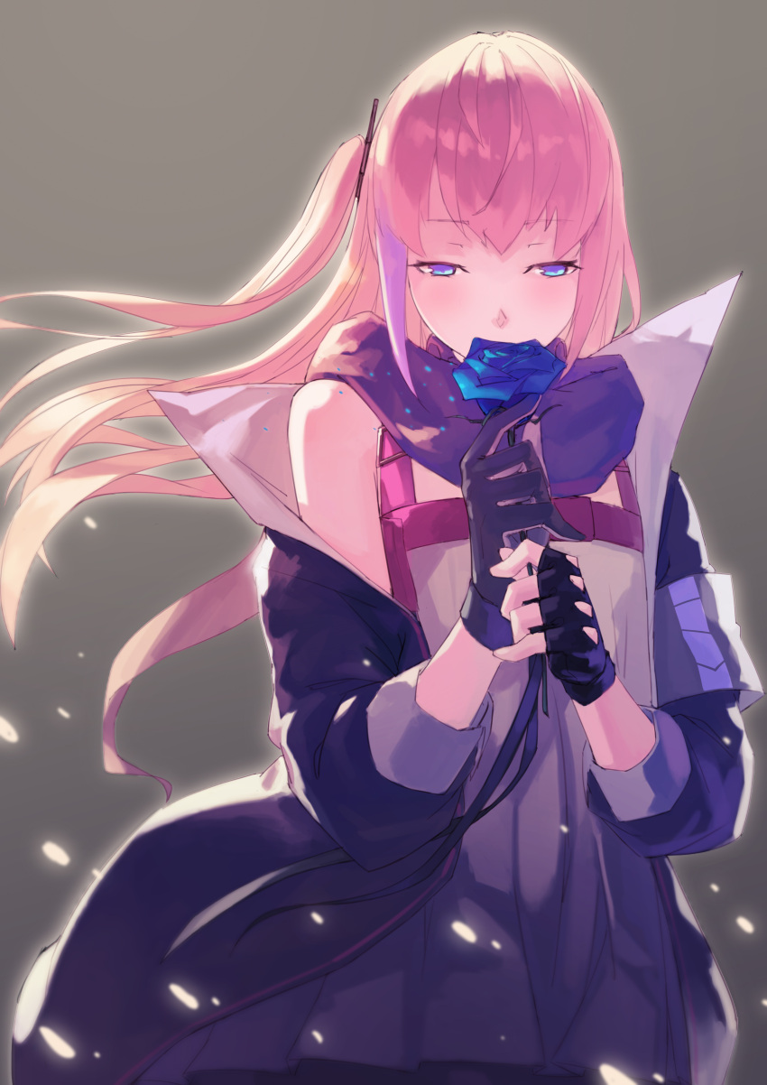 1girl absurdres armband asymmetrical_gloves bangs black_gloves blue_eyes blue_flower blue_rose blush buckle covered_mouth dress eyebrows_visible_through_hair fingerless_gloves floating_hair flower girls_frontline gloves glowing hair_ornament half-closed_eyes highres holding holding_flower jacket long_hair looking_at_viewer migime_no_yuugure multicolored_hair off_shoulder one_side_up pink_hair ribbon rose scarf single_fingerless_glove solo st_ar-15_(girls_frontline) streaked_hair wind wind_lift
