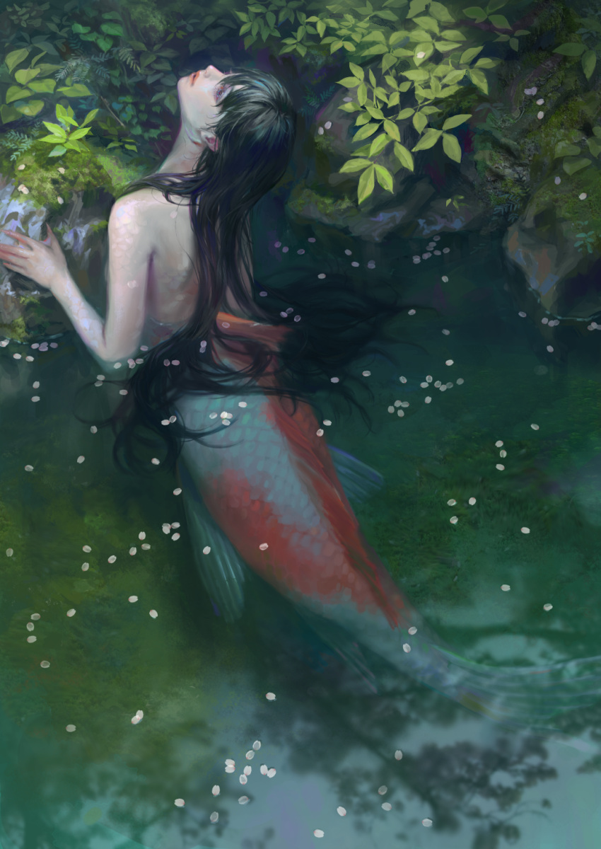 1girl black_hair day grass highres long_hair mermaid monster_girl moss nude original outdoors partially_submerged petals solo tunapon01 water