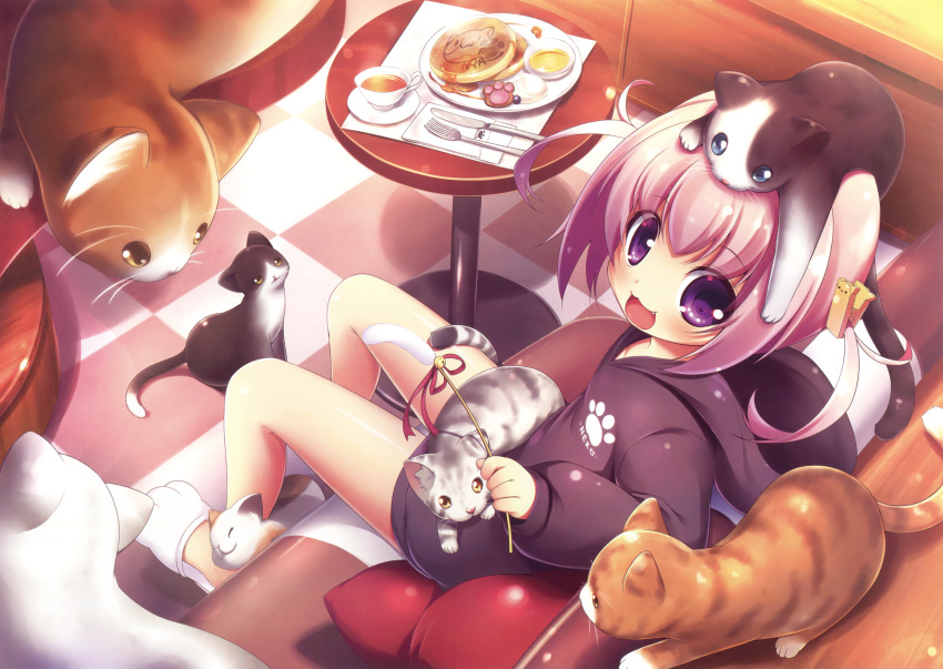 1girl :3 :d absurdres animal animal_on_head bangs bell black_hoodie blush cat cat_on_head cattail checkered checkered_floor couch cup dutch_angle eyebrows_visible_through_hair fang food fork from_above hair_between_eyes highres hood hood_down hoodie jingle_bell knife kuwada_yuuki looking_at_viewer napkin on_couch on_head open_mouth original pancake paw_shoes pillow plant red_ribbon ribbon saucer scan shoes sidelocks sitting smile solo table tea teacup two_side_up violet_eyes