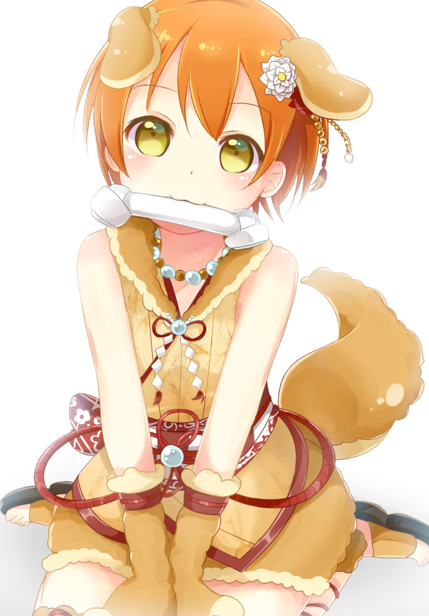 1girl :3 animal_costume animal_ears backlighting blush bone dog_costume dog_ears dog_tail flower gloves green_eyes hair_flower hair_ornament hands_on_lap highres hoshizora_rin kanzashi kemonomimi_mode looking_at_viewer love_live! love_live!_school_idol_project mouth_hold orange_hair paw_gloves paws pimi_(ringsea21) sandals sash short_hair simple_background sitting sleeveless solo tail white_background