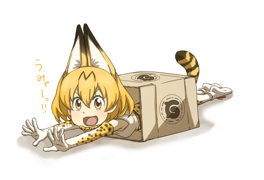 animal_ears bare_shoulders bow box cardboard_box commentary_request gloves highres japari_symbol kemono_friends lying multicolored_hair on_stomach open_mouth outstretched_hand serval_(kemono_friends) serval_ears serval_print serval_tail short_hair tail tenya thigh-highs translation_request v-shaped_eyebrows