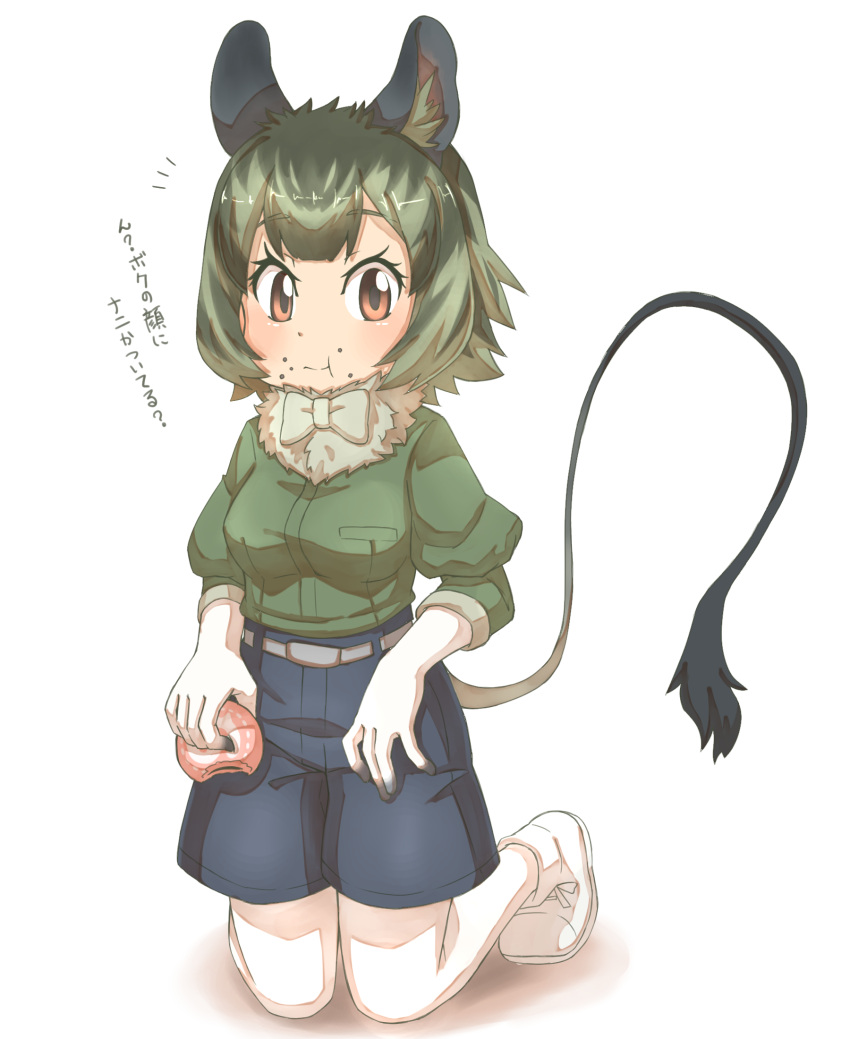 :t animal_ears bite_mark bow bowtie commentary_request crumbs degu_(kemono_friends) eating food fur_collar gloves green_hair highres japari_bun kemono_friends kneeling legwear_under_shorts multicolored_hair pantyhose puffy_sleeves short_hair shorts sleeves_rolled_up tail tenya translation_request white_background