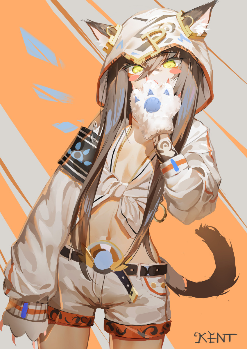 1girl absurdres animal_ears belt blush_stickers breasts brown_hair gloves highres hood kentllaall long_hair looking_at_viewer navel original paw_gloves paws shorts small_breasts solo tail tattoo yellow_eyes