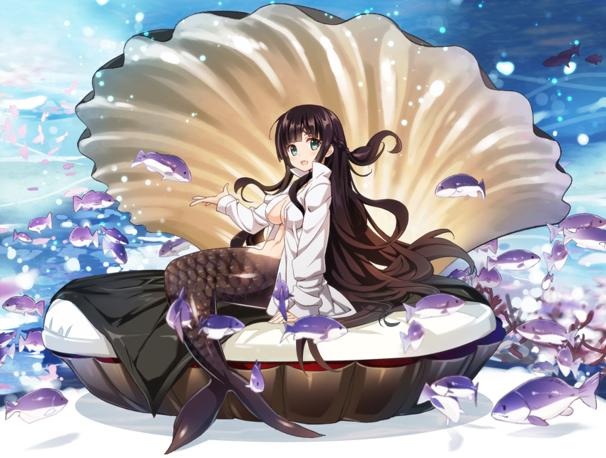 1girl :d black_hair blue_eyes braid breasts clam cleavage commentary_request fish fish_scales fish_tail french_braid long_hair looking_at_viewer mermaid monster_girl navel nyoronyoro ocean open_mouth original shirt sitting smile solo submerged underwater