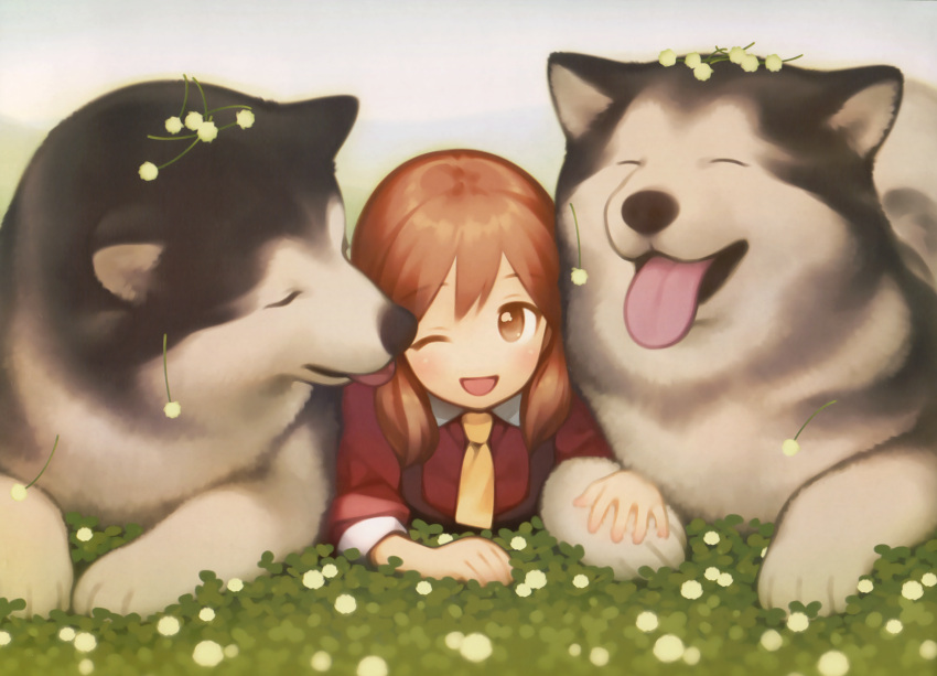 ;&lt; absurdres ahoge animal_ears bangs bent_elbow blush brown_eyes dog dog_ears eyebrows_visible_through_hair flower gayarou hair_between_eyes highres holding looking_at_viewer open_mouth original paws red_shirt redhead scan shirt siberian_husky sleeves_rolled_up smile tongue tongue_out white_background white_collar yellow_neckwear