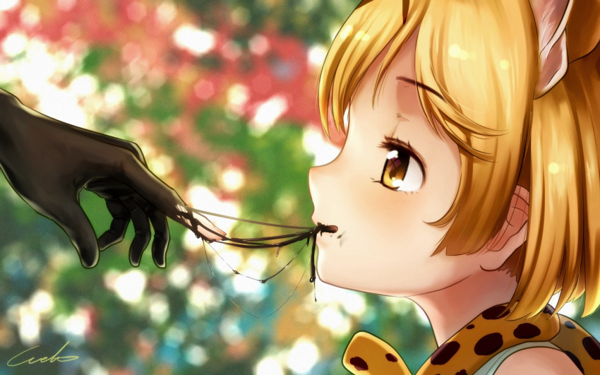 2girls animal_ears blonde_hair blurry blurry_background commentary extra_ears eyebrows_visible_through_hair gloves kaban_(kemono_friends) kemono_friends multiple_girls profile serval_(kemono_friends) short_hair signature solo_focus welt_(kinsei_koutenkyoku) yellow_eyes