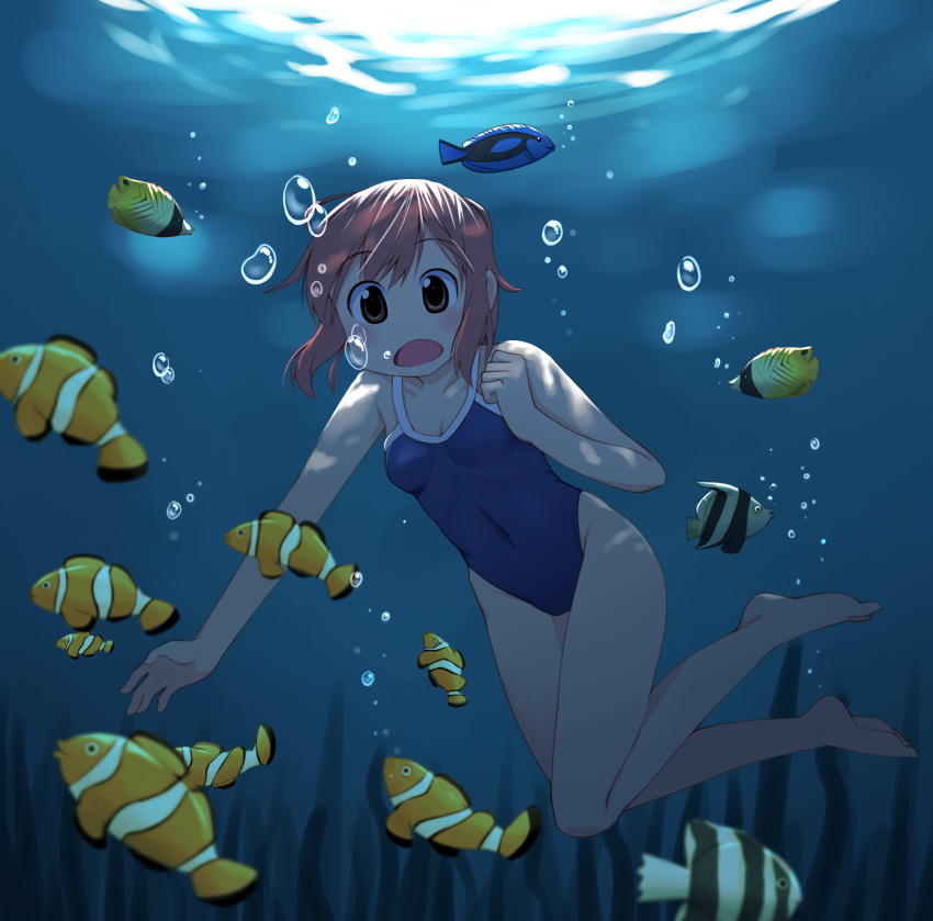 1girl air_bubble bare_legs blue_swimsuit breasts brown_eyes brown_hair bubble clownfish full_body highres nichijou one-piece_swimsuit open_mouth short_hair small_breasts swimsuit tachibana_misato techsupportdog underwater