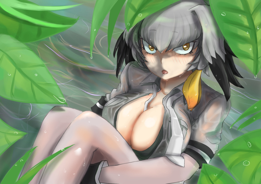 1girl bangs between_breasts black_bra black_gloves black_hair blush bodystocking bra breast_pocket breasts cleavage collarbone collared_shirt day dripping eyebrows_visible_through_hair gloves grey_hair grey_legwear grey_neckwear grey_shirt hair_between_eyes john_(a2556349) kemono_friends knees_up large_breasts leaf leg_hug long_hair looking_at_viewer low_ponytail multicolored_hair necktie open_clothes open_mouth open_shirt orange_hair outdoors pocket see-through shade shirt shoebill_(kemono_friends) side_ponytail sitting solo tongue tongue_out tsurime underwear undone_necktie water wet wet_clothes wet_face wet_hair wet_shirt wing_collar yellow_eyes