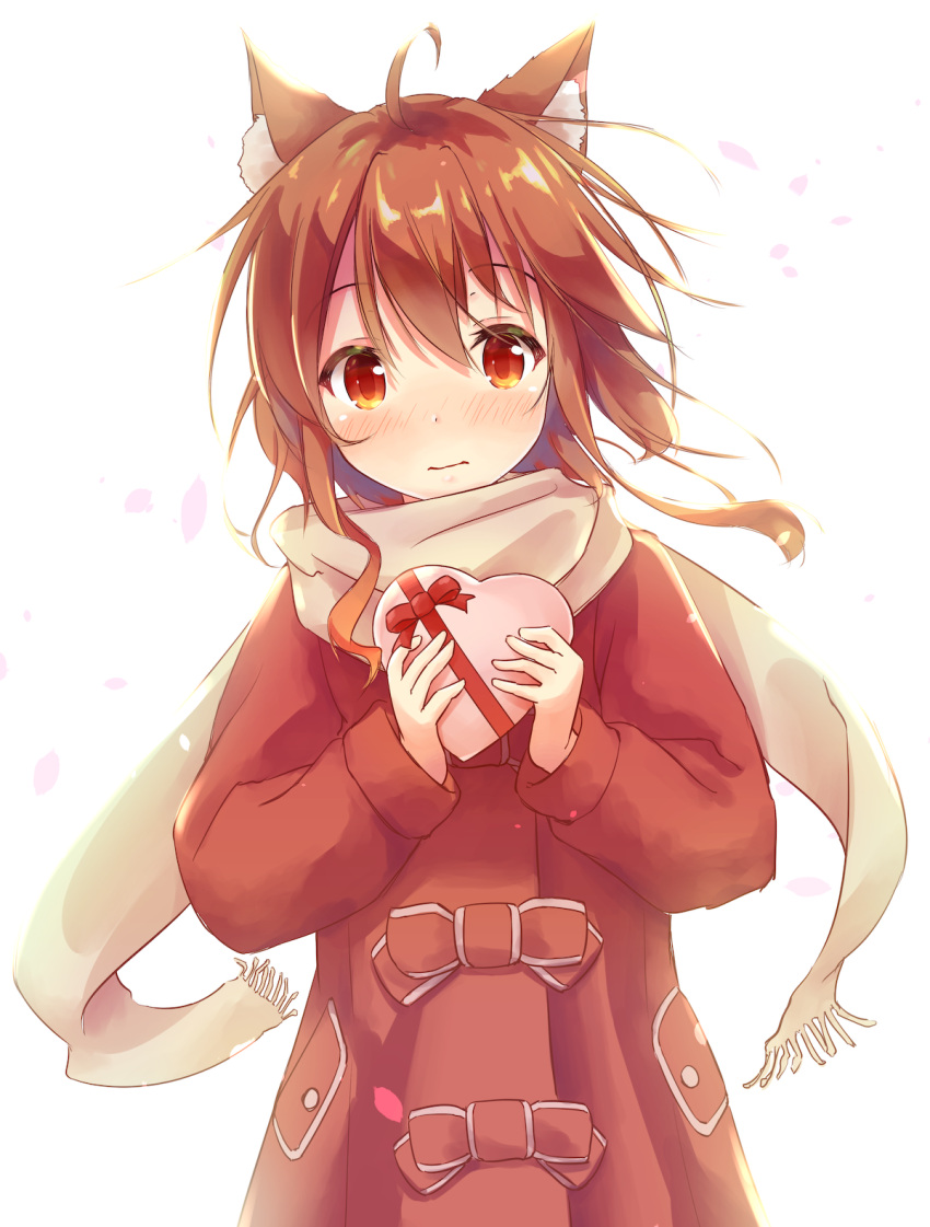 1girl animal_ears bangs blush box brown_coat brown_eyes brown_hair brown_scarf closed_mouth coat commentary_request eyebrows_visible_through_hair fringe gift gift_box hair_between_eyes heart-shaped_box highres holding holding_gift long_hair long_sleeves looking_at_viewer mizutan64 nose_blush original petals scarf solo valentine white_background