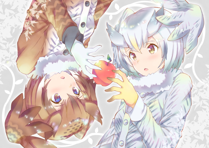 2girls apple bangs brown_coat brown_eyes brown_hair coat eurasian_eagle_owl_(kemono_friends) eyebrows_visible_through_hair food fruit fur_collar gloves grey_coat head_wings kemono_friends long_sleeves looking_at_another multicolored_hair multiple_girls northern_white-faced_owl_(kemono_friends) parted_lips portrait short_hair symmetry takano_itsuki upside-down white_gloves white_hair yellow_eyes yellow_gloves