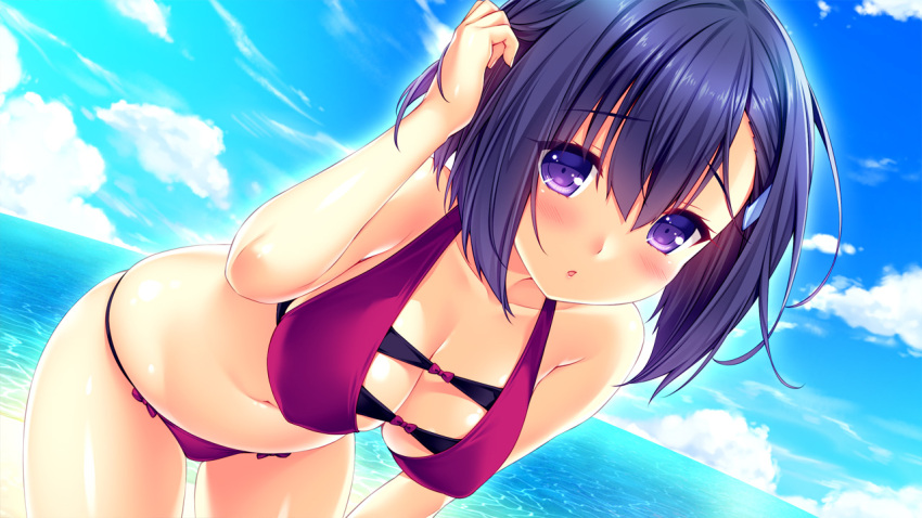 1girl :o bangs bare_arms bare_shoulders beach bikini blue_sky blush bow bow_bikini breasts cleavage clouds cloudy_sky collarbone cowboy_shot day erika_(tropical_liquor) eyebrows_visible_through_hair eyelashes fingernails game_cg hair_between_eyes hair_tousle hand_in_hair hand_on_own_knee hand_up horizon large_breasts leaning_forward legs_apart long_fingernails looking_at_viewer ocean open_mouth outdoors purple_bikini purple_bow purple_hair sayori shiny shiny_skin short_hair skindentation sky solo standing string_bikini swimsuit tropical_liquor violet_eyes water