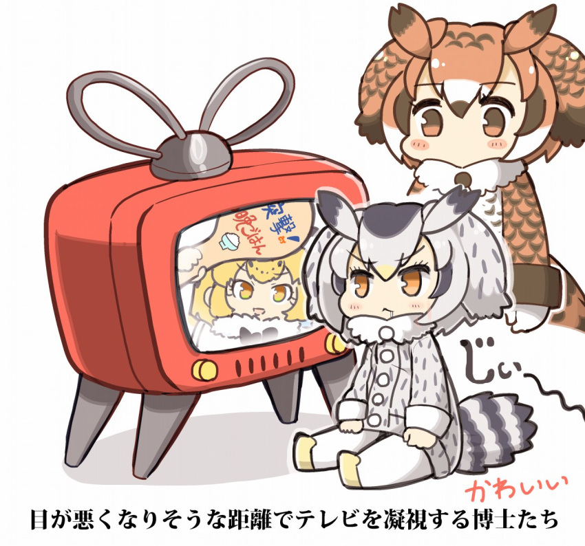 3girls :&lt; bird_tail blonde_hair blush_stickers brown_eyes brown_hair coat drooling eurasian_eagle_owl_(kemono_friends) eyebrows_visible_through_hair fur_trim grey_hair holding jaguar_(kemono_friends) kemono_friends long_sleeves multicolored_hair multiple_girls northern_white-faced_owl_(kemono_friends) paddle pantyhose short_hair simple_background sitting streaked_hair tail tanaka_kusao television translation_request white_background white_legwear winter_clothes winter_coat