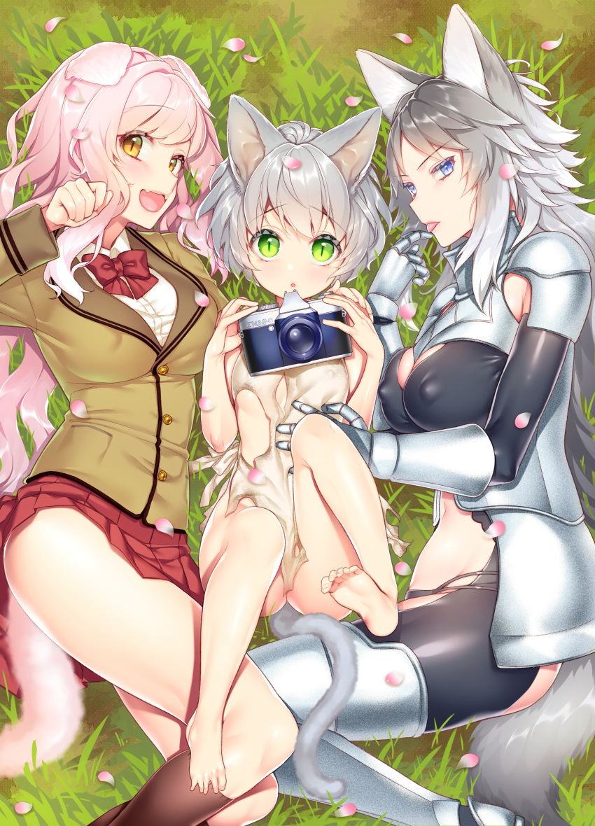 3girls :d absurdres animal_ears armor armored_boots armored_dress bangs bare_arms bare_legs bare_shoulders barefoot blue_eyes blush boots bow bowtie breasts buttons camera cat_ears cat_girl cat_tail collared_shirt colored_eyelashes commentary_request day dog_ears dog_girl dog_tail dress_shirt erect_nipples eyebrows_visible_through_hair eyelashes fangs fingernails from_above full_body gauntlets giuniu gradient_hair grass greaves green_eyes grey_hair groin half-closed_eyes hand_on_another's_stomach highres holding holding_camera large_breasts legs_up long_fingernails long_hair long_sleeves looking_at_viewer lying medium_breasts miniskirt multicolored_hair multiple_girls navel on_side open_mouth original outdoors petals pink_hair pleated_skirt pocket red_neckwear school_uniform shirt short_hair sidelocks silver_hair skirt slit_pupils small_breasts smile soles stomach tail thigh-highs thigh_boots v-shaped_eyebrows white_shirt wolf_ears wolf_girl wolf_tail yellow_eyes