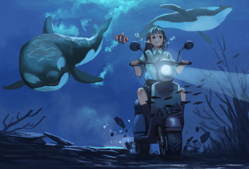 1girl absurdres air_bubble bangs blunt_bangs bubble closed_mouth clownfish driving fish full_body ground_vehicle highres jun_(5455454541) long_hair looking_at_another marker_(medium) motor_vehicle orca original scooter shirt short_sleeves sitting skirt smile submerged traditional_media underwater water whale