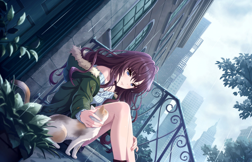 1girl ahoge bangs bare_legs bare_shoulders blue_eyes blush brown_hair building cat city clouds cloudy_sky coat day ichinose_shiki idolmaster idolmaster_cinderella_girls idolmaster_cinderella_girls_starlight_stage long_hair off-shoulder_sweater official_art outdoors petting rain sitting sky smile solo sweater wavy_hair