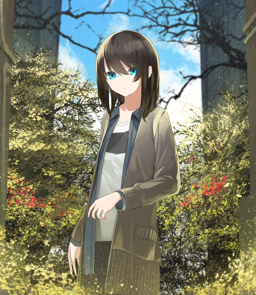 1girl asuteroid blue_eyes blue_sky blurry blurry_background brown_hair bush closed_mouth clouds cloudy_sky commentary_request day depth_of_field eyebrows_visible_through_hair highres jacket long_sleeves looking_at_viewer medium_hair original outdoors shirt sky solo standing white_shirt