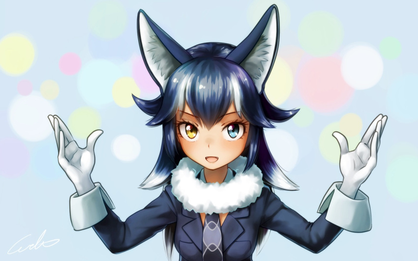 1girl animal_ears arms_up artist_name bangs black_hair black_jacket blue_eyes blush breasts commentary_request cowboy_shot fangs gloves grey_neckwear grey_wolf_(kemono_friends) hair_between_eyes heterochromia jacket kemono_friends long_hair long_sleeves looking_at_viewer multicolored_hair necktie simple_background sleeve_cuffs solo welt_(kinsei_koutenkyoku) white_gloves wolf wolf_ears yellow_eyes