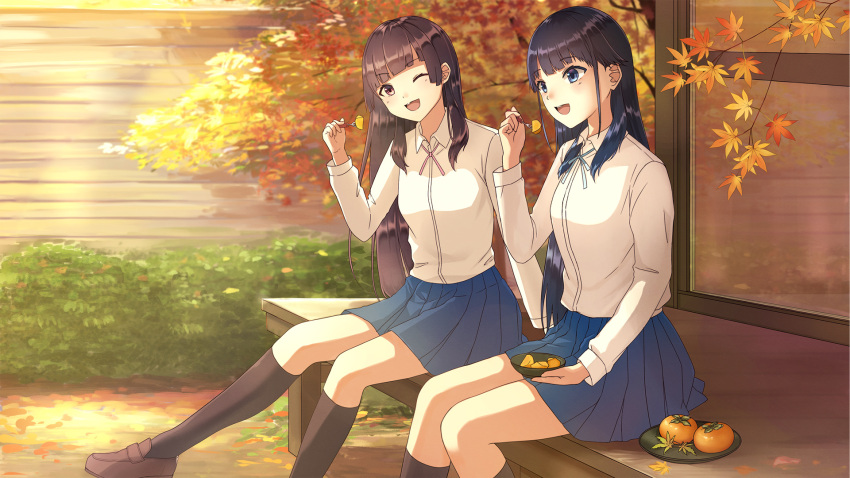 2girls :d ;d amadate_mahiru amadate_shin astrogirls autumn_leaves black_hair black_legwear blue_eyes blue_skirt brown_footwear brown_hair day dress_shirt food head_tilt highres holding holding_food kneehighs leaf long_hair maple_leaf miniskirt multiple_girls neck_ribbon one_eye_closed open_mouth outdoors pleated_skirt ribbon shirt shoes siblings sisters sitting skirt smile white_ribbon white_shirt