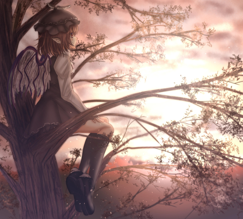 1girl black_legwear brown_eyes brown_hair brown_hat brown_skirt clouds commentary_request from_side hand_on_thigh hat highres kneehighs long_sleeves looking_away mob_cap mystia_lorelei outdoors shirt shoes short_hair shounen_(hogehoge) sitting skirt skirt_set sky solo sun sunset touhou tree white_shirt winged_hat wings