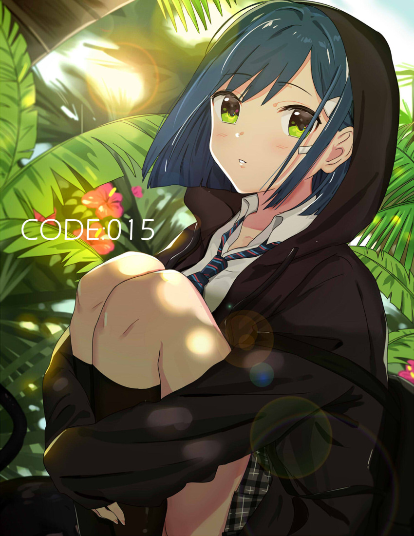 1girl bag bandaid bandaid_on_face bangs black_hoodie black_legwear blue_hair blush collared_shirt darling_in_the_franxx day eyebrows_visible_through_hair green_eyes hair_ornament hairclip highres hood hood_up ichigo_(darling_in_the_franxx) kneehighs leg_hug lens_flare long_sleeves looking_at_viewer necktie outdoors parted_lips school_bag school_uniform shirt short_hair sitting sleeves_past_wrists solo tomato_omurice_melon white_shirt