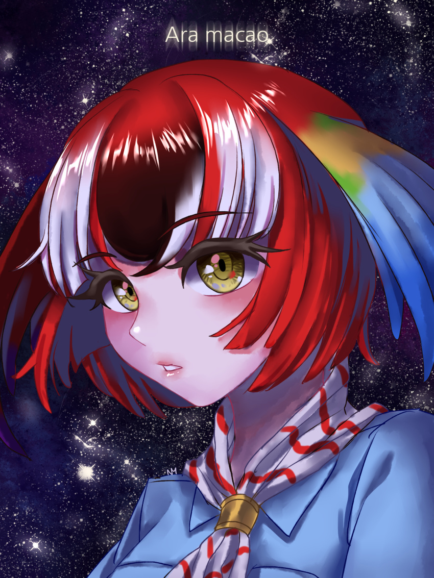 1girl black_hair feathered_wings gom-iuneunsoli graphite_(medium) highres kemono_friends multicolored_hair night night_sky portrait redhead scarlet_macaw_(kemono_friends) scientific_name sky solo star_(sky) teeth traditional_media white_hair wings yellow_eyes