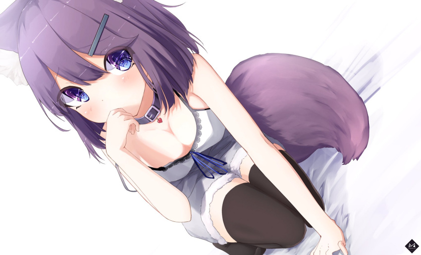 1girl animal_ears arm_support bangs bed_sheet blue_eyes breasts camisole cleavage collar commentary covering_mouth dog_collar eyebrows_visible_through_hair fox_ears fox_tail fur_trim hair_between_eyes hair_ornament hairclip hand_over_own_mouth heart highres kneeling logo looking_at_viewer mayogii medium_breasts no_shoes original purple_hair ribbon short_hair short_shorts shorts solo tail thigh-highs watermark white_background zettai_ryouiki