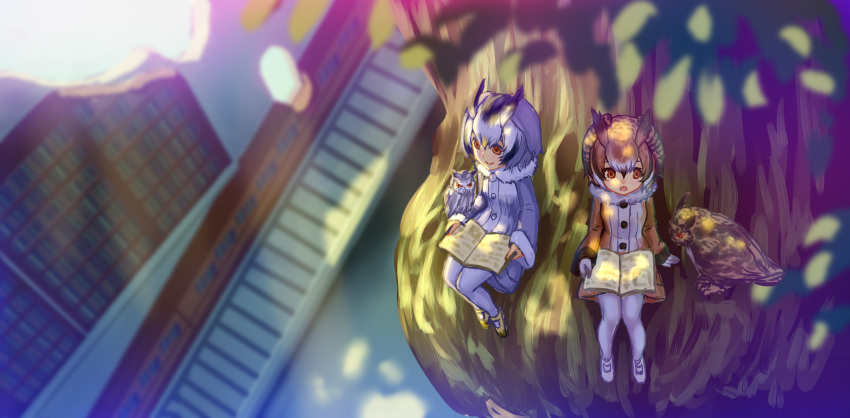 2girls absurdres bird black_hair blonde_hair book book_on_lap brown_eyes brown_hair closed_mouth eurasian_eagle_owl_(kemono_friends) highres holding holding_book kemono_friends looking_away multicolored_hair multiple_girls northern_white-faced_owl_(kemono_friends) outdoors owl pantyhose parted_lips reading short_hair sitting sketch tree two-tone_hair wasabichan white_hair white_legwear