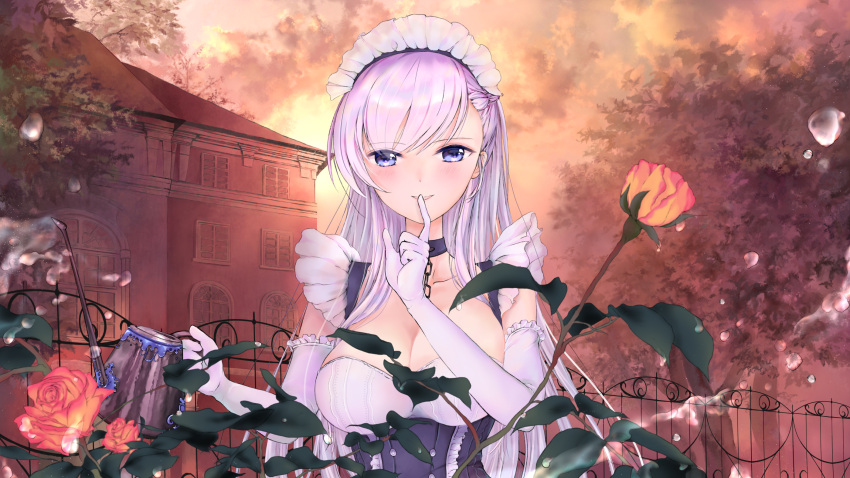 1girl apron azur_lane belfast_(azur_lane) blue_eyes blush braid breasts chains cleavage clouds commentary commentary_request corset elbow_gloves eyebrows_visible_through_hair fence finger_to_mouth flower french_braid frilled_gloves frills gloves highres holding house large_breasts leaf long_hair maid maid_apron maid_headdress open_mouth outdoors plant rose silver_hair sunset tree tsunano_(koi_pink) very_long_hair water_drop watering watering_can white_gloves