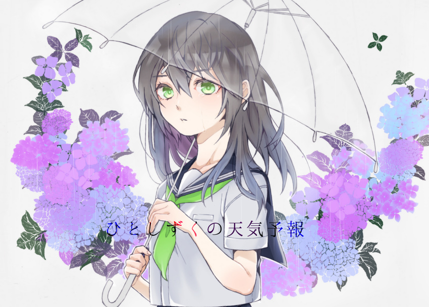 1girl black_hair flower green_eyes highres hydrangea kurumikko looking_at_viewer millipen_(medium) original parasol school_uniform serafuku solo traditional_media transparent_umbrella umbrella upper_body