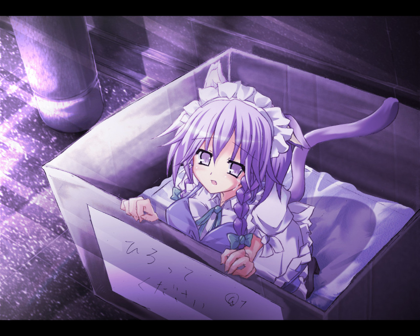 animal_ears aral box braid breast_press breasts cardboard_box cat_ears cat_tail for_adoption girl_in_a_box highres in_box in_container inu_sakuya izayoi_sakuya person_in_a_container solo tail tears touhou translated twin_braids