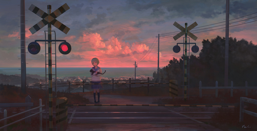 1girl blue_legwear blue_sailor_collar blue_skirt cat clouds cloudy_sky commentary_request feel_(nasitaki) fence grass highres holding holding_cat long_sleeves original outdoors overcast pigeon-toed pleated_skirt power_lines railroad_crossing railroad_tracks road_sign sailor_collar scenery school_uniform serafuku shirt shoes short_hair sign silver_hair skirt sky socks solo standing sunset telephone_pole white_shirt