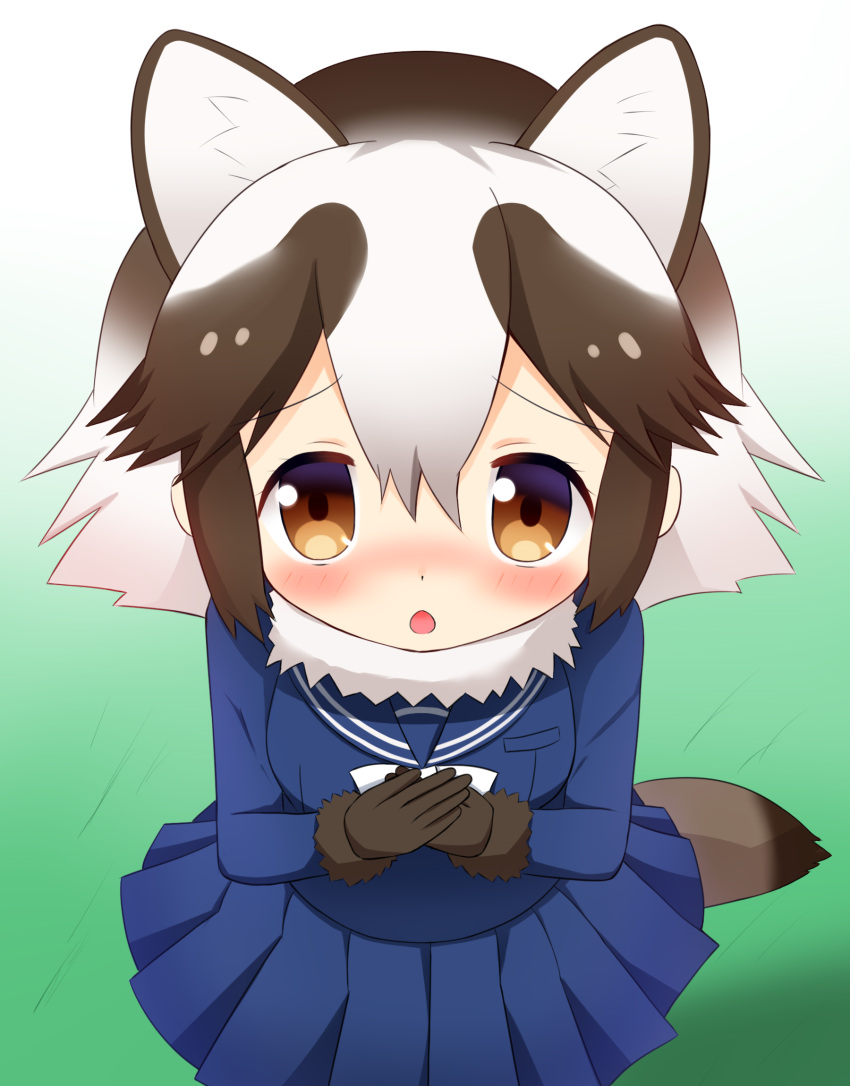 1girl animal_ears bangs black_gloves blue_serafuku blue_shirt blue_skirt blush bow bowtie brown_eyes brown_hair chestnut_mouth commentary_request eyebrows_visible_through_hair fur-trimmed_gloves fur_collar fur_trim gloves hair_between_eyes highres kemono_friends long_sleeves multicolored_hair own_hands_together parted_lips pleated_skirt raccoon_ears raccoon_tail school_uniform serafuku shin01571 shirt sidelocks skirt solo tail tanuki_(kemono_friends) white_hair white_neckwear