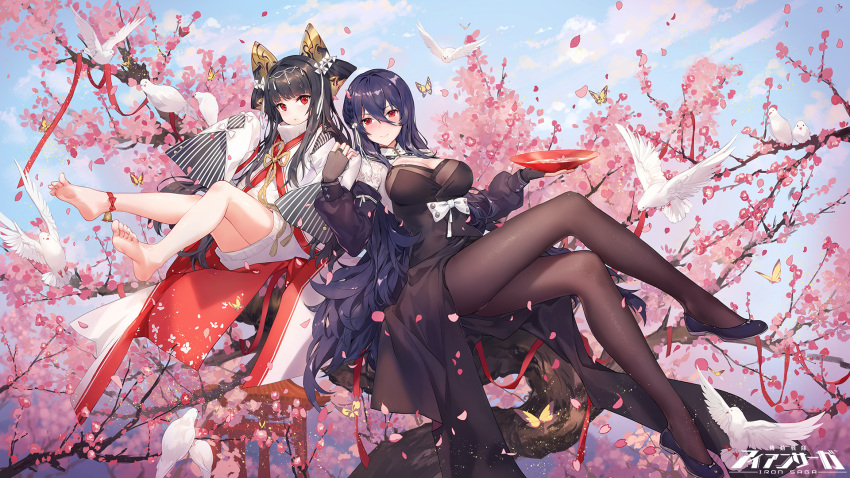 2girls bangs bare_legs barefoot bird black_dress black_hair black_legwear blue_hair blush breasts cherry_blossoms closed_mouth commentary_request copyright_name criin cup day dove dress fingerless_gloves flower gloves hands_in_sleeves highres japanese_clothes jidong_zhandui large_breasts long_hair multiple_girls oboro_(jidong_zhandui) outdoors pantyhose plum_blossoms red_eyes sakazuki sitting smile straight_hair tree wavy_hair white_bird wide_sleeves
