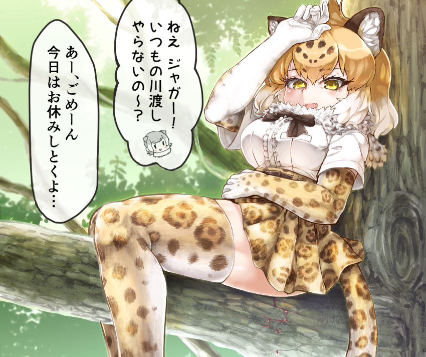 2girls animal_ears blonde_hair blood blush_stickers bow bowtie branch breast_pocket check_translation day dripping elbow_gloves eyebrows_visible_through_hair fang fur_collar gloves grey_hair hair_between_eyes hand_on_own_forehead hand_on_own_stomach hand_up in_tree jaguar_(kemono_friends) jaguar_ears jaguar_print jaguar_tail kemono_friends menstruation multicolored_hair multiple_girls open_mouth otter_ears outdoors pocket print_gloves print_legwear print_skirt shirt short_sleeves sitting sitting_in_tree skirt small-clawed_otter_(kemono_friends) smile solo_focus sweat tail tanaka_kusao thigh-highs translation_request tree tsurime white_hair white_shirt yellow_eyes zettai_ryouiki