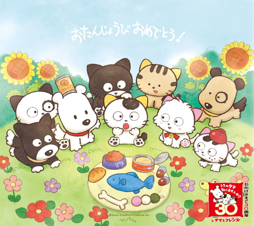 6+others :) :d :o acorn animal anniversary beh_(tama_and_friends) bell black_eyes bone bowl bread butterfly can cat collar dog fish flower food fruit garden gon_(tama_and_friends) grass koma_(tama_and_friends) kuro_(tama_and_friends) momo_(tama_and_friends) no_humans no_mouth nora_(tama_and_friends) official_art orange paw pochi_(tama_and_friends) ribbon smile spring_(season) sunflower surprised tama_&amp;_friends tama_(t&amp;f) tama_(tama_and_friends) tama_and_friends tora_(tama_and_friends)