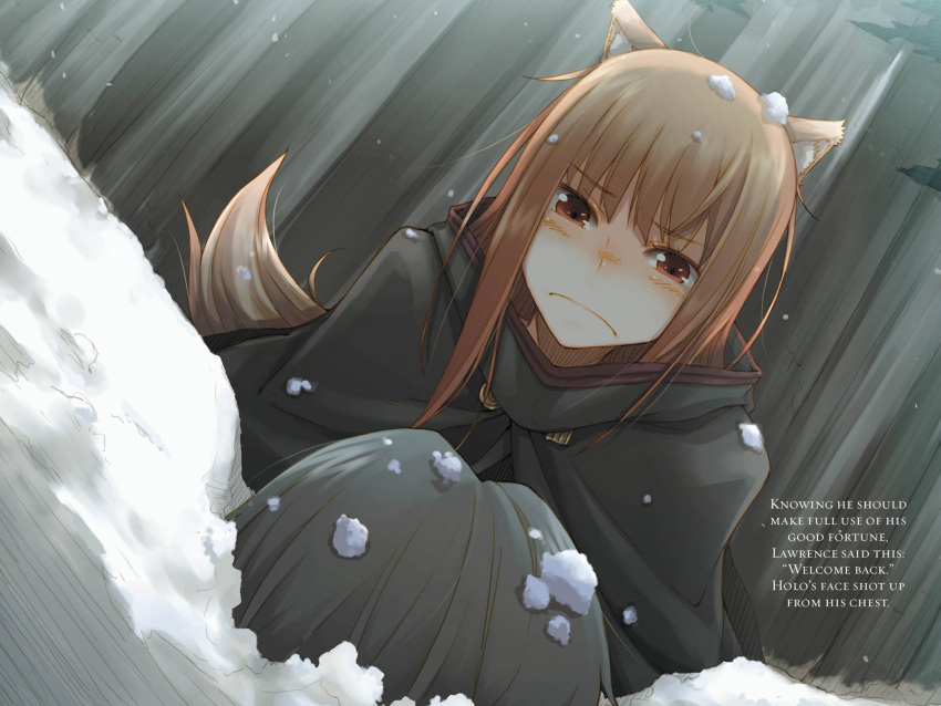 1boy 1girl animal_ears ayakura_juu blush brown_hair cape character_name craft_lawrence day eyebrows_visible_through_hair highres holo long_hair looking_at_viewer lying novel_illustration official_art on_back outdoors red_eyes silver_hair sitting snow snow_on_head spice_and_wolf tail wolf_ears wolf_tail