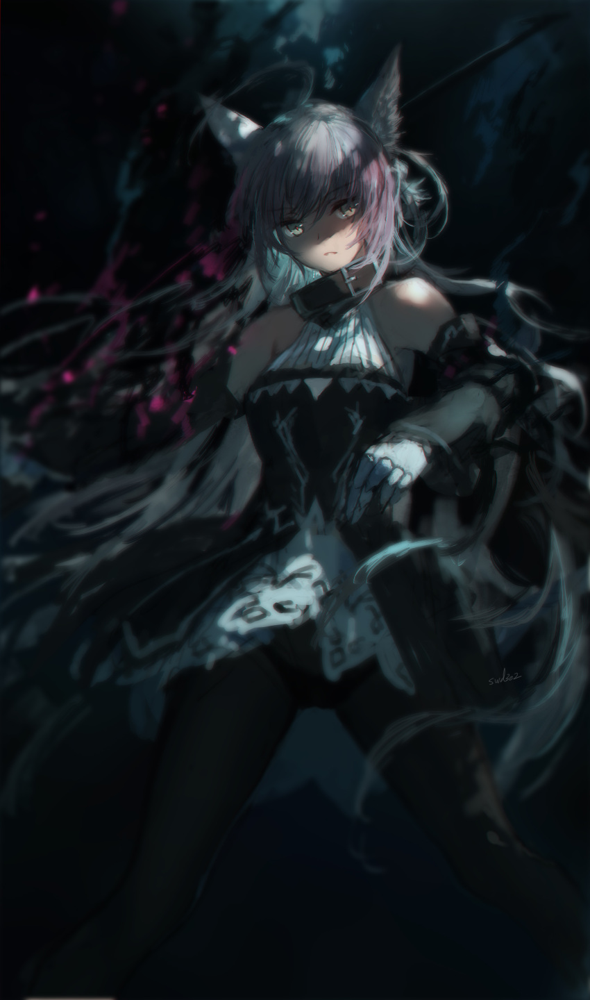 1girl absurdres ahoge animal_ears artist_name atalanta_(alter)_(fate) atalanta_(fate) bangs black_legwear collar commentary_request dark_background dress fate/grand_order fate_(series) hair_between_eyes highres long_hair looking_at_viewer panties pantyhose silver_hair solo standing swd3e2 underwear yellow_eyes