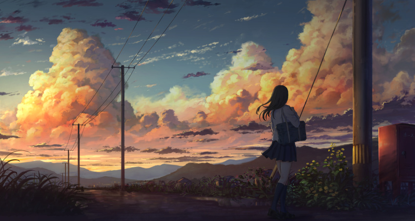 1girl bag black_hair black_legwear carrying city_lights clouds daisy facing_away flower from_side full_body grass hair_blowing highres jacket kneehighs loafers medium_hair mountain mountainous_horizon original outdoors pleated_skirt postbox_(outgoing_mail) power_lines puddle revision road rural scenery school_bag school_uniform shoes shoulder_carry skirt sugi87 sunset twilight walking wind