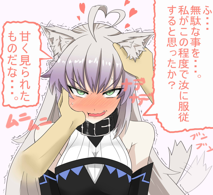1girl ahoge animal_ears atalanta_(alter)_(fate) bangs bare_shoulders belt_collar black_collar blush braid breasts buckle cheek_pinching commentary_request detached_sleeves disembodied_limb embarrassed eyebrows_visible_through_hair fang fate/grand_order fate_(series) french_braid full-face_blush green_eyes hair_between_eyes halterneck heart heart_ahoge highres long_hair looking_at_viewer motion_blur motion_lines open_mouth pale_skin petting pinching pov pov_hands rakku_(10219563) shiny shiny_hair sidelocks silver_hair simple_background slit_pupils small_breasts solo_focus speech_bubble striped sweatdrop tail_wagging talking translation_request trembling tsurime upper_body v-shaped_eyes white_background