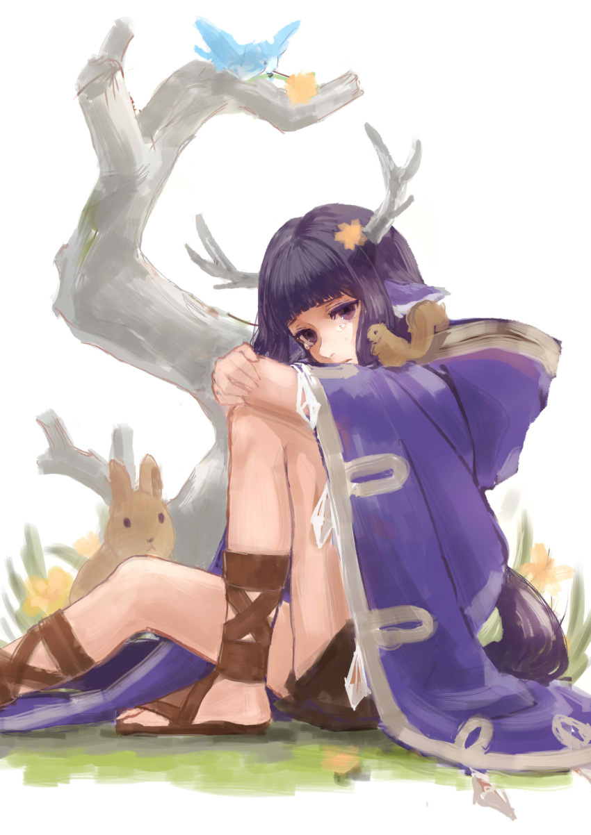 1girl absurdres animal animal_ears animal_on_shoulder antlers bangs bird blunt_bangs cloak closed_mouth crying crying_with_eyes_open from_side highres hood hood_down hooded_cloak knee_up leg_hug long_hair looking_at_viewer original purple_hair rabbit romiy sad sandals squirrel tears tree violet_eyes white_background