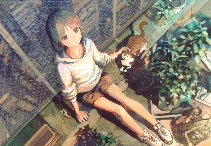 1girl animal bangs brown_hair brown_shorts can cat commentary_request fence hood hood_down looking_up original petting plant potted_plant rooftop shoes shorts sitting sleeves_pushed_up sneakers solo tokunaga_akimasa watering_can white_footwear white_hoodie