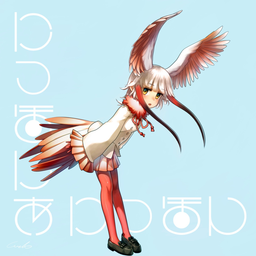 1girl arms_at_sides bangs bird_tail black_footwear blue_background blunt_bangs brown_hair commentary_request eyebrows_visible_through_hair feathered_wings flower frilled_sleeves frills fur_collar gloves gradient head_wings highres kemono_friends leaning_forward long_hair long_sleeves looking_at_viewer open_mouth pantyhose pleated_skirt red_gloves red_legwear red_skirt redhead shoes sidelocks signature simple_background skirt solo translation_request welt_(kinsei_koutenkyoku) white_hair wide_sleeves wings yellow_eyes