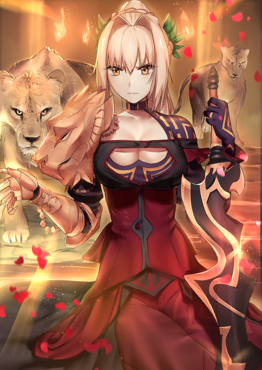 1girl aestus_estus alternate_costume alternate_hairstyle armored_boots asymmetrical_clothes bangs black_dress blonde_hair boots bow braid breasts butt_crack cleavage cleavage_cutout closed_mouth collarbone corset crown_braid dress elbow_pads eyebrows_visible_through_hair eyes_visible_through_hair facing_away fate/extra fate_(series) french_braid full_body gauntlets gloves gown hair_intakes head_wreath high_ponytail highres large_breasts lion long_dress long_hair long_sleeves looking_at_viewer multiple_views nero_claudius_(fate) nero_claudius_(fate)_(all) panties panties_under_pantyhose pantyhose pauldrons ponytail purple_gloves red_bow red_dress red_footwear red_legwear red_panties red_ribbon ribbon ryairyai serious shoulder_blades showgirl_skirt sidelocks simple_background single_gauntlet single_pauldron standing sword underwear v-shaped_eyes weapon white_background yellow_eyes