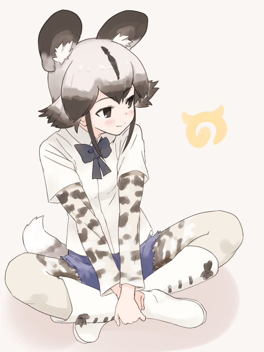 1girl african_wild_dog_(kemono_friends) animal_ears animal_print black_eyes black_hair black_neckwear boots bow bowtie closed_mouth dress_shirt grey_background grey_hair highres indian_style japari_symbol kemono_friends long_sleeves multicolored_hair pantyhose pantyhose_under_shorts print_legwear shadow shirt short_over_long_sleeves short_sleeves sitting smile solo tail two-tone_hair uasi v_arms white_footwear white_legwear white_shirt wing_collar