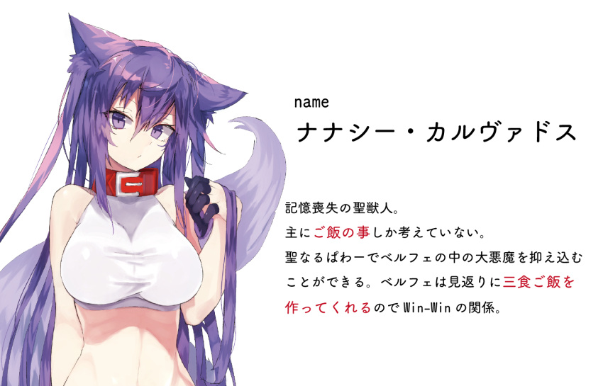 1girl animal_ears bracelet breasts cat_ears character_name character_profile collar crop_top jewelry kasuka_(kusuki) long_hair looking_at_viewer medium_breasts nanacy_calvados navel original parted_lips purple_hair simple_background solo translation_request two_side_up upper_body very_long_hair violet_eyes white_background