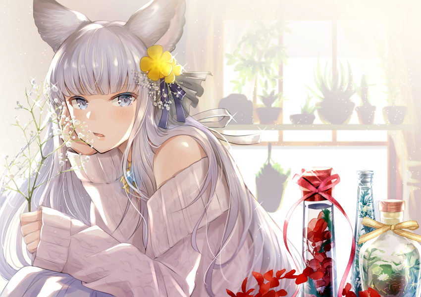 1girl absurdres animal_ears backlighting bangs bare_shoulders blue_eyes blush bottle braid branch casual chin_rest day erune eyebrows_visible_through_hair granblue_fantasy grey_sweater hair_ornament hair_ribbon highres holding huge_filesize indoors korwa long_hair looking_at_viewer myusha off-shoulder_sweater off_shoulder open_mouth plant potted_plant ribbon silver_hair solo sweater tsurime very_long_hair