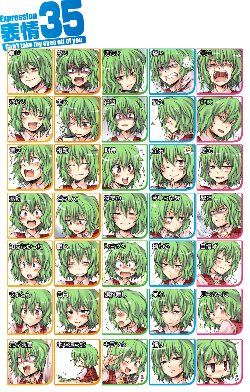 \m/ \o/ arms_up ascot blush chart expressions green_hair heart highres kazami_yuuka microphone mokku outstretched_arms plaid plaid_skirt plaid_vest red_eyes skirt skirt_set slit_pupils snake touhou translated translation_request wince wink