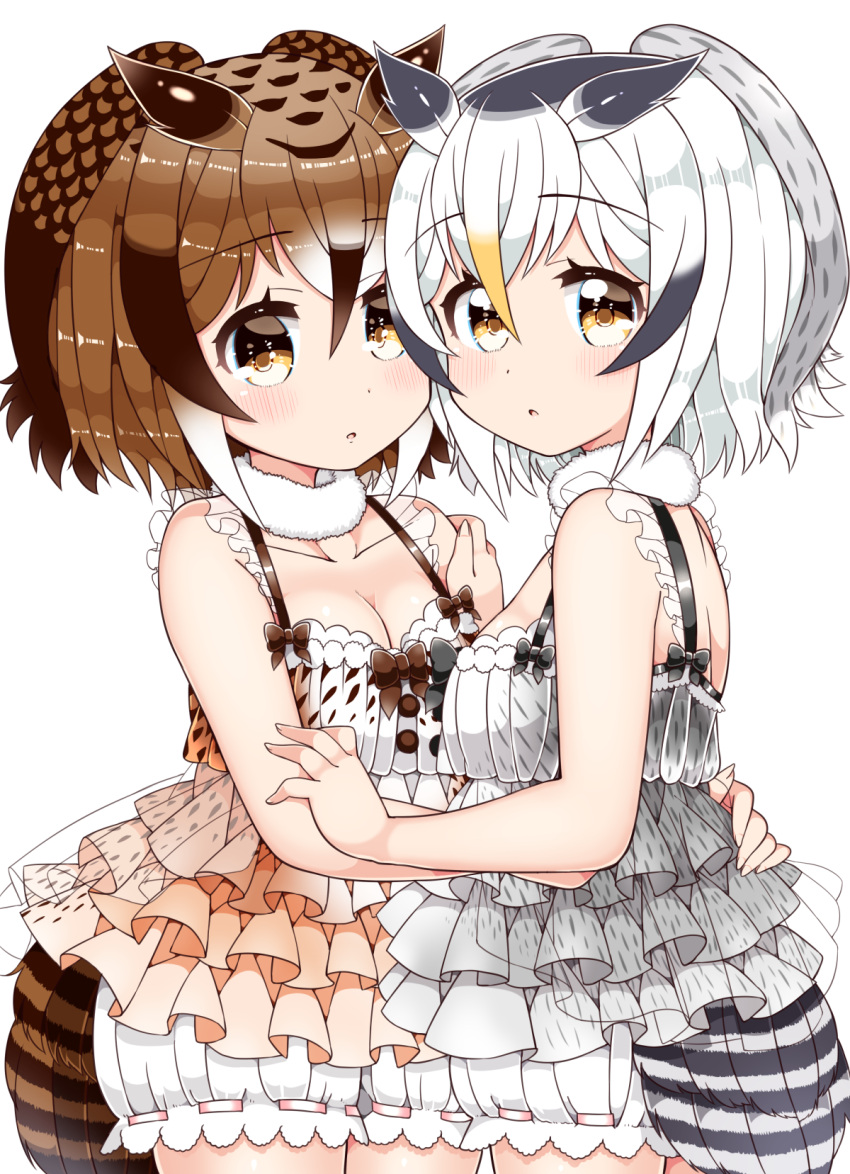 2girls adapted_costume bird_tail bloomers bow breasts brown_hair cleavage collarbone commentary_request cowboy_shot eurasian_eagle_owl_(kemono_friends) eyebrows_visible_through_hair fur_collar grey_hair hair_between_eyes hand_on_another's_shoulder hands_on_another's_waist highres hug kanjitomiko kemono_friends lingerie looking_at_viewer medium_breasts multicolored_hair multiple_girls northern_white-faced_owl_(kemono_friends) short_hair silver_hair simple_background underwear white_background yellow_eyes