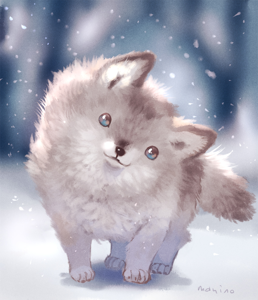 :3 animal blue_eyes blurry blurry_background commentary_request depth_of_field highres looking_at_viewer manino_(mofuritaionaka) multicolored_hair no_humans original outdoors signature snow snowing wolf