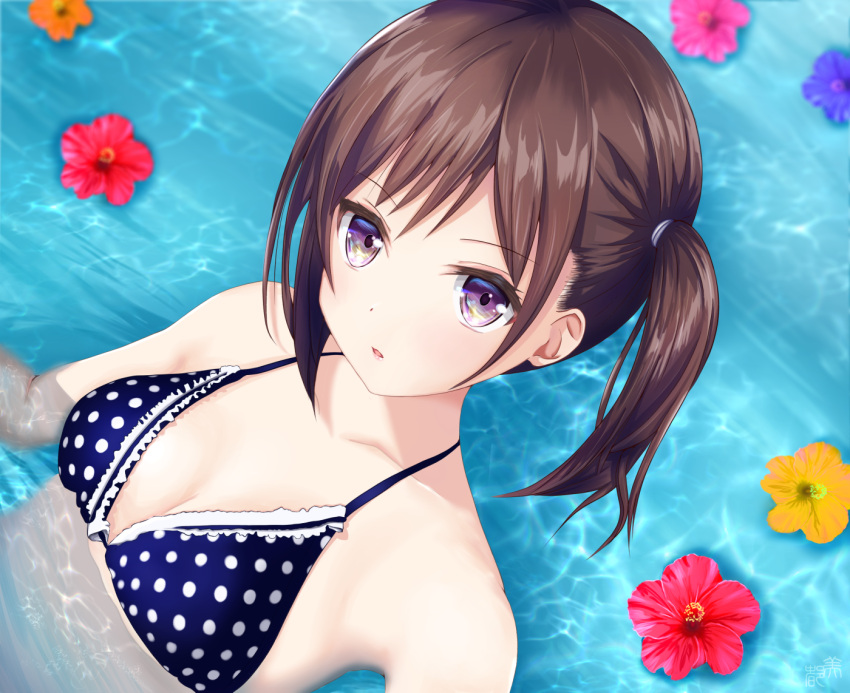 1girl bikini breasts brown_hair collarbone commentary_request flower looking_at_viewer mito_ichijyo original parted_lips partially_submerged polka_dot polka_dot_bikini polka_dot_swimsuit short_hair side_ponytail small_breasts solo swimsuit upper_body violet_eyes water